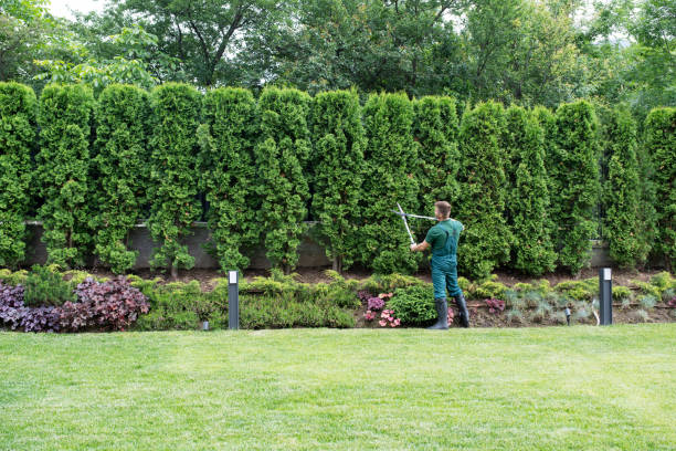 Best Arborist Consultation Services  in Essex Fells, NJ