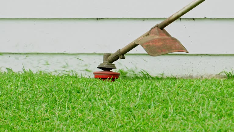 Best Stump Grinding and Removal  in Essex Fells, NJ