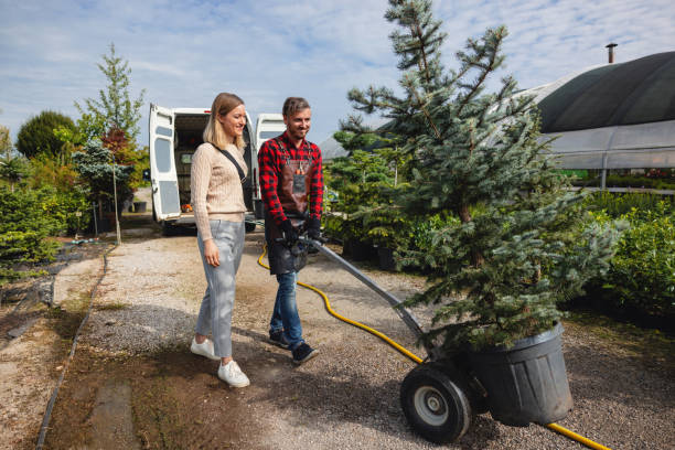 Best Storm Damage Tree Cleanup  in Essex Fells, NJ
